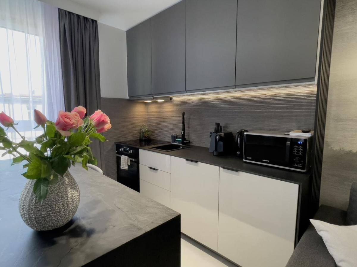 Urban Apartments Premium, Opolska 10 No 89, Free Garage, Self Check-In Katowice Exterior foto